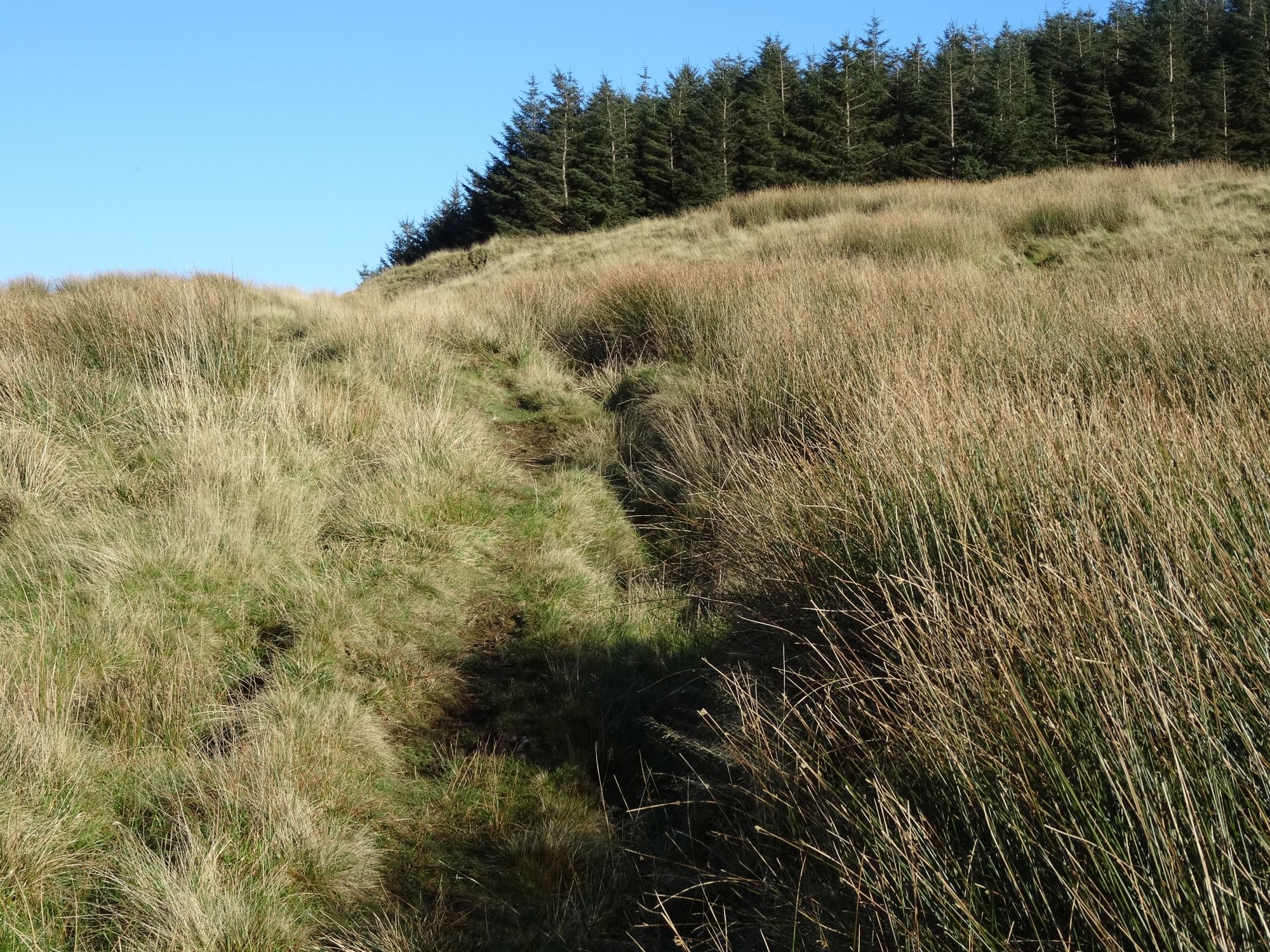 RachelSeabrook.net | Wild Walking | Moel y Llyn | pic17
